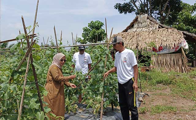 DESA TANI MERDEKA
