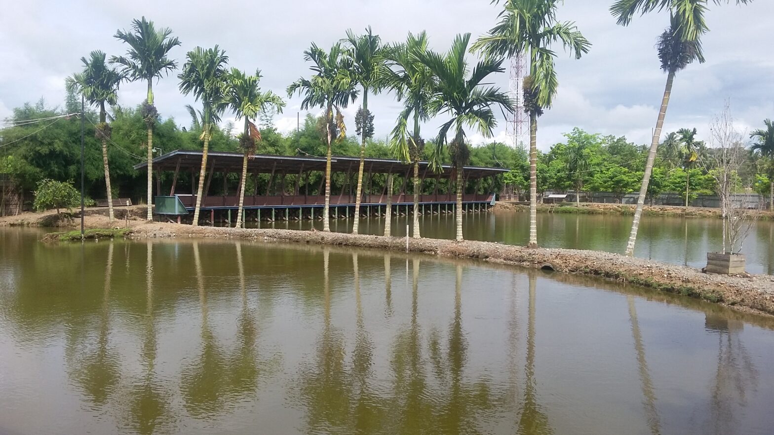 kolam pancing dengan pipa hdpe