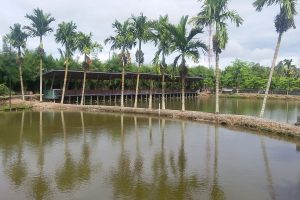 kolam pancing dengan pipa hdpe