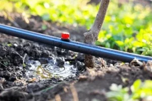 Durable and long-lasting HDPE water pipes from ALVApipe